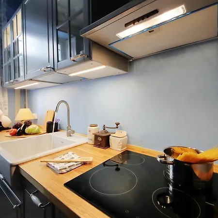 Painter's Apartment Besozzo